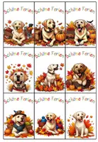 Vorschau - Bildkarten - Grußkärtchen Ferienkärtchen Labradorklasse Herbst #Klassentier #Hundeklasse - Seite 1