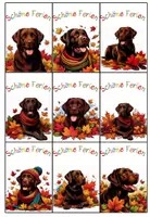 Vorschau - Bildkarten - Grußkärtchen Ferienkärtchen Labradorklasse Herbst #Klassentier #Hundeklasse - Seite 2