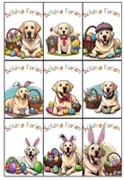 Vorschau - Bildkarten - Grußkärtchen Ferienkärtchen Labradorklasse Ostern #Klassentier #Hundeklasse - Seite 1