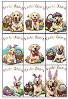 Vorschau - Bildkarten - Grußkärtchen Ferienkärtchen Labradorklasse Ostern #Klassentier #Hundeklasse - Seite 2