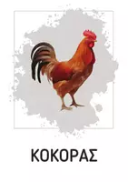Προεπισκόπηση - Παιχνίδια - Τα Ζώα της Φάρμας • 16 κάρτες της Μεθόδου Μοντεσσόρι - Σελίδα 3