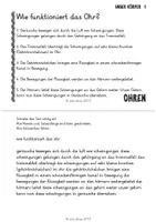 Vorschau - Text - 20 Sachtexte: Fragen und Antworten zu unserem Körper Teil 1 - Seite 2
