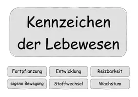 Vorschau - Präsentationen/Tafelbilder - Kennzeichen der Lebewesen Karten - Deckblatt