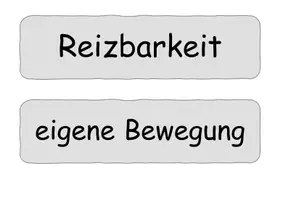 Vorschau - Präsentationen/Tafelbilder - Kennzeichen der Lebewesen Karten - Seite 2