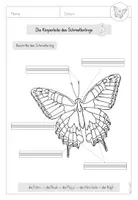 Vorschau - Arbeitsblätter - 1./2. Klasse: Differenzierte Lerntheke mit Arbeitsblättern zum Schmetterling - Seite 3