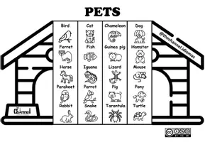 Vorschau - Arbeitsblätter - PETS – Flap Book (20 Domestic Animals) - Seite 2