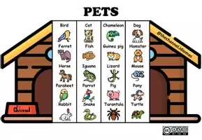 Aperçu - Affichage - PETS – Flap book (20 Domestic Animals) - Page 1