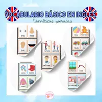 Vista previa - Refuerzo / NEE / Materiales de apoyo - Vocabulario básico en inglés - página 1