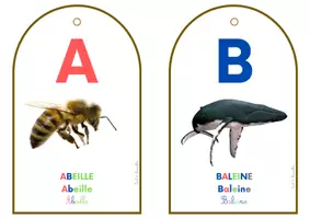 Aperçu - Apprentissages en autonomie - PORTE CLEFS - ABECEDAIRE DES ANIMAUX_ Couleurs Montessori - Page 2