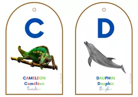 Aperçu - Apprentissages en autonomie - PORTE CLEFS - ABECEDAIRE DES ANIMAUX_ Couleurs Montessori - Page 3