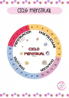 Vista previa - Presentaciones - CICLO MENSTRUAL - Infografía - Portada