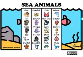 Aperçu - Matériel pour travaux manuels / dessin - SEA ANIMALS – Flap Book (20 Words) - Page 1