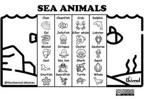Aperçu - Matériel pour travaux manuels / dessin - SEA ANIMALS – Flap Book (20 Words) - Page 2