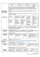 Vista previa - Hojas de trabajo - GUIÓ CAS PRÀCTIC PRIMÀRIA - página 3