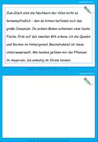 Vorschau - Fördermaterial/Inklusion - DaF / DaZ Französisch: Fehlerteufel Doppelkonsonanten - Lesekarten Interactive - Seite 3