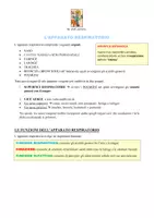 anteprima - Programmi scolastici / Materiali per docenti - Riassunti sul corpo umano - Pagina 1