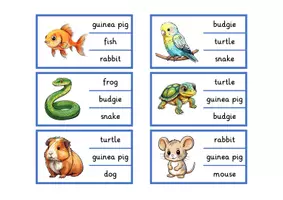 Vorschau - Spiele - Materialpaket "pets" - Tafelkarten in A4 & A5 + 5 Spiele - Seite 2