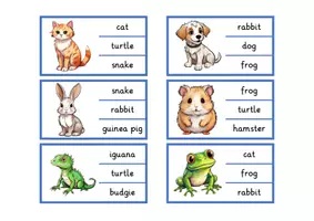 Vorschau - Spiele - Materialpaket "pets" - Tafelkarten in A4 & A5 + 5 Spiele - Seite 3
