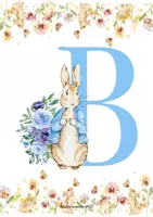 Vista previa - Decoración del aula - BEATRIX POTTER: RECURSOS PARA TU AULA - página 3