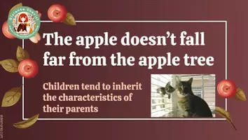 Προεπισκόπηση - Φύλλα εργασίας - English proverb-Apple tree - Σελίδα 1