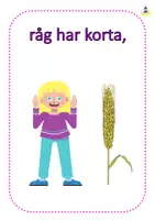 förhandsvisning - De fyra sädesslagen - sida 2