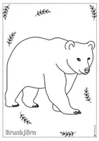 förhandsvisning - Djur i Sverige - björn, varg, älg - försättsblad