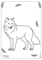 förhandsvisning - Djur i Sverige - björn, varg, älg - sida 2
