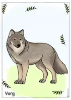 förhandsvisning - Djur i Sverige - björn, varg, älg - sida 3