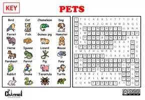 Aperçu - Feuilles d'exercices - PETS – Word Search (20 Domestic Animals) - Page 3