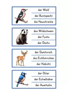 Vorschau - Spiele - Klammerkarten Lesen heimische Tiere (2-fach differenziert) - Seite 2