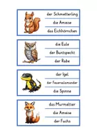 Vorschau - Spiele - Klammerkarten Lesen heimische Tiere (2-fach differenziert) - Seite 3
