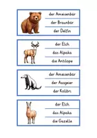 Vorschau - Stationenlernen - Klammerkarten Lesen wilde Tiere (2-fach differenziert) - Seite 2