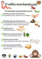 Προεπισκόπηση - Flashcards - Ενημερωτική αφίσα | Κιβώτιο σκουληκιών στον κήπο του σχολείου - Σελίδα 1