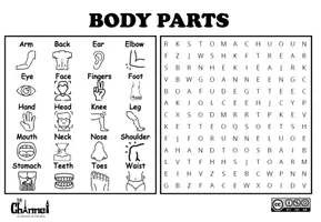 Aperçu - Feuilles d'exercices - BODY PARTS – Word Search (20 Words) - Page 2