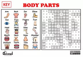 Aperçu - Feuilles d'exercices - BODY PARTS – Word Search (20 Words) - Page 3