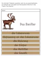 Vorschau - Arbeitsblätter - Das Rentier Flipbook - Seite 1