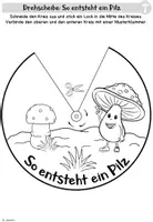 Vorschau - Mal- und Bastelvorlagen - Pilze | Drehscheibe: Entwicklung des Pilzes - Seite 3