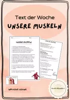 Vorschau - Arbeitsblätter - Text der Woche: Unsere Muskeln - Deckblatt