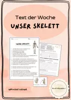 Vorschau - Arbeitsblätter - Text der Woche: Unser Skelett - Deckblatt