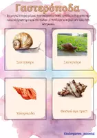 Προεπισκόπηση - Φύλλα εργασίας - Κοχύλια- όστρακα - Σελίδα 2