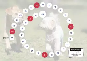 anteprima - Flashcard - Pack de Acertijos sobre Razas de Perros (in spagnolo) - Pagina 1