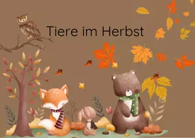 Vorschau - Bildkarten - Tiere im Herbst Bildkarten - Seite 1