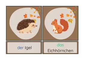 Vorschau - Bildkarten - Tiere im Herbst Bildkarten - Seite 2
