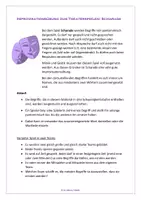 Vorschau - Unterrichtsreihen - Improvisation: Sparpaket! Viele verschiedene Übungen für die Theater-Arbeit - Seite 1