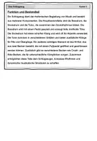 Vorschau - Arbeitsblätter - Das Schlagzeug - Seite 2