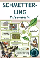 Vorschau - Arbeitsblätter - Schmetterling – Materialpaket mit Lerntheke & differenzierten Arbeitsblättern (1./2. Klasse Sachunterricht) - Seite 1