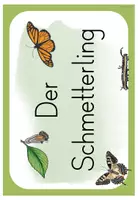 Vorschau - Arbeitsblätter - Schmetterling – Materialpaket mit Lerntheke & differenzierten Arbeitsblättern (1./2. Klasse Sachunterricht) - Seite 3