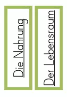 Vorschau - Poster - Tafelmaterial zum Thema Schmetterling - Seite 3
