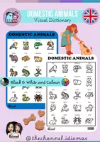 Aperçu - Fiches - Animaux Domestiques - Dictionnaire Visuel en Anglais - Page de couverture
