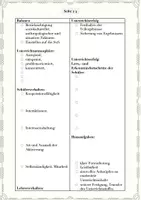 Vorschau - Anderer Materialtyp - Praxissemester Unterrichts-Hospitation: Vorlage zum Ausfüllen - Seite 3